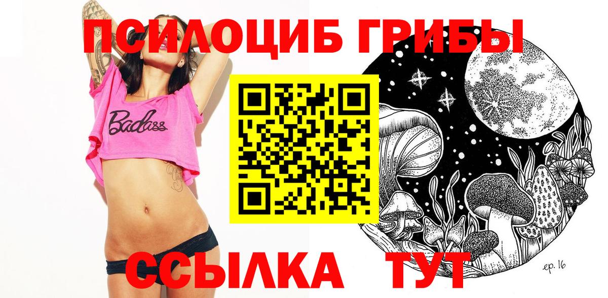 Котельники  Псилоцибиновые грибы Psilocybe  Вход с VPN 
